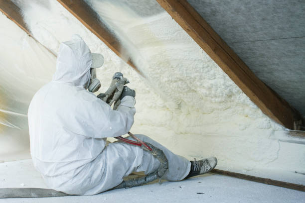 Best Spray Foam Insulation in Honaunau Napoopoo, HI